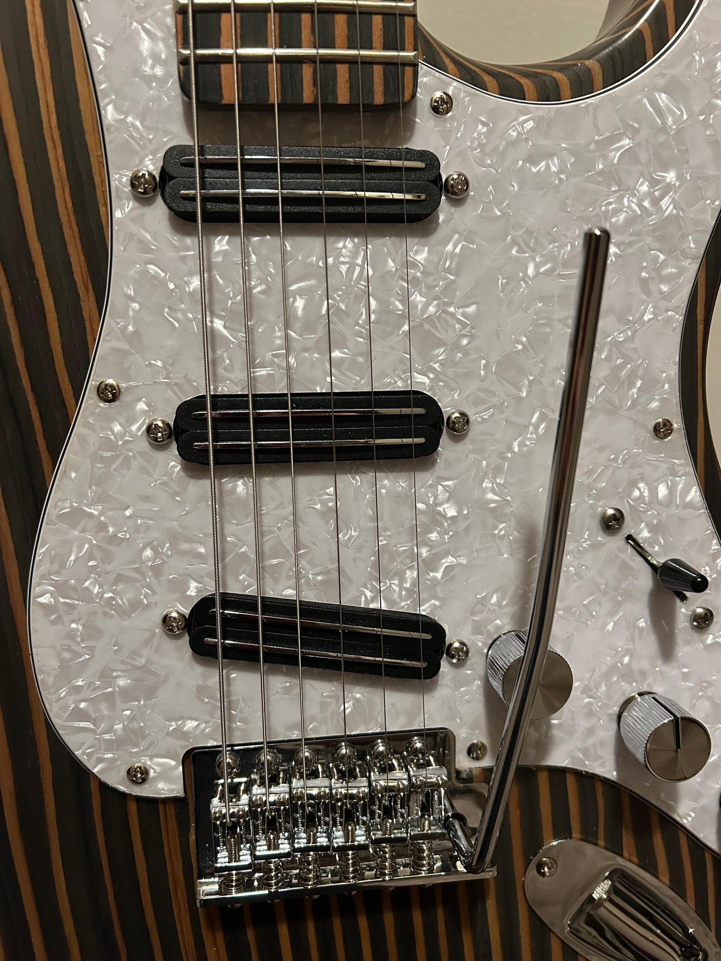 Double-cut all Zebrawood guitar